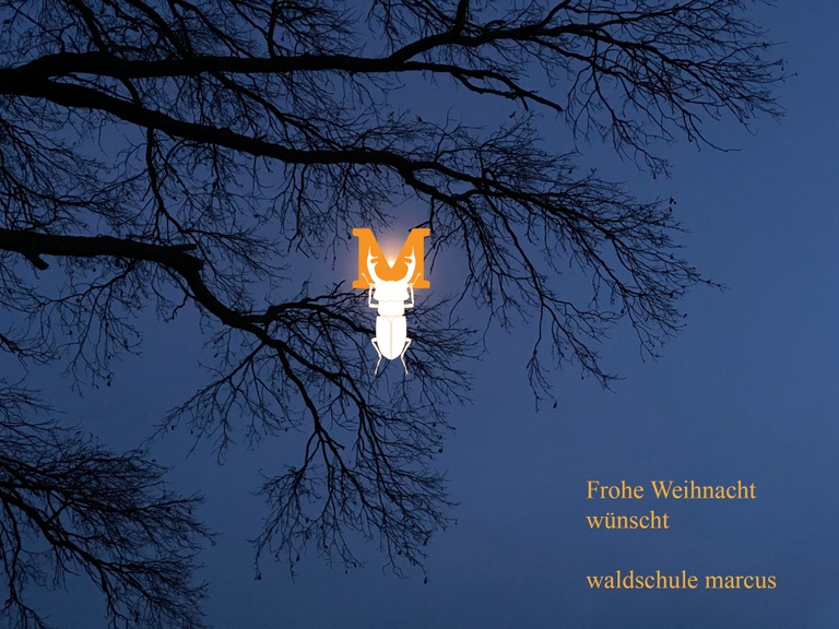 Frohe Weihnacht 2020