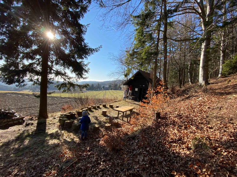 Waldschule Marcus ⓒ Zuba Marcus